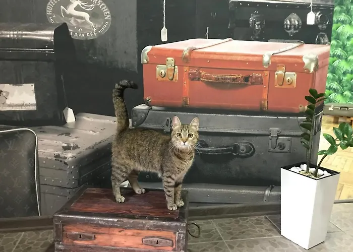 Sacvoyage